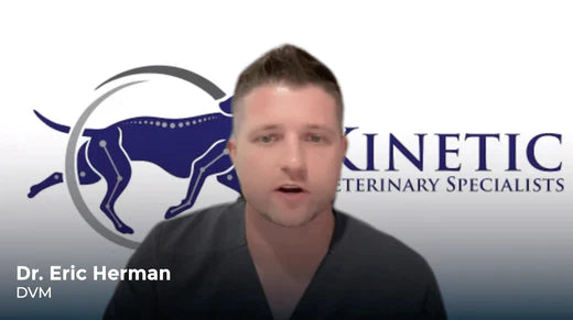 Dr. Eric Herman DVM