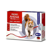 為貓隻而設的Antinol<sup>®</sup>
